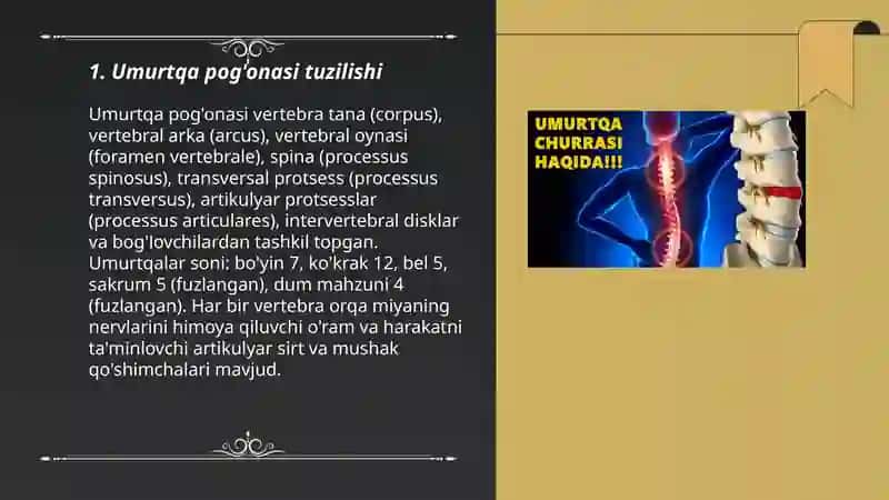 Umurtqalar 3