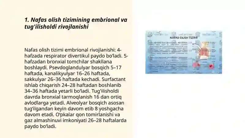 Nafas olish tizimining yoshga oid xususiyatlari va gigiyenasi 3