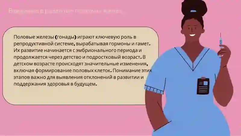 Особенности деятельности половых желез в разном возрасте 3