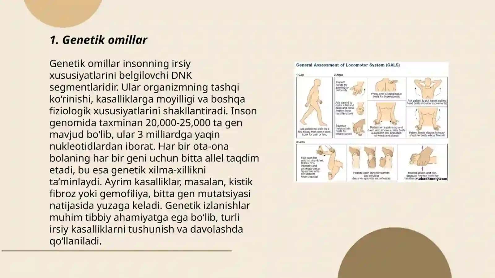 Tayanch-harakat tizimi disfunksiyalarining etiologiyasi 3