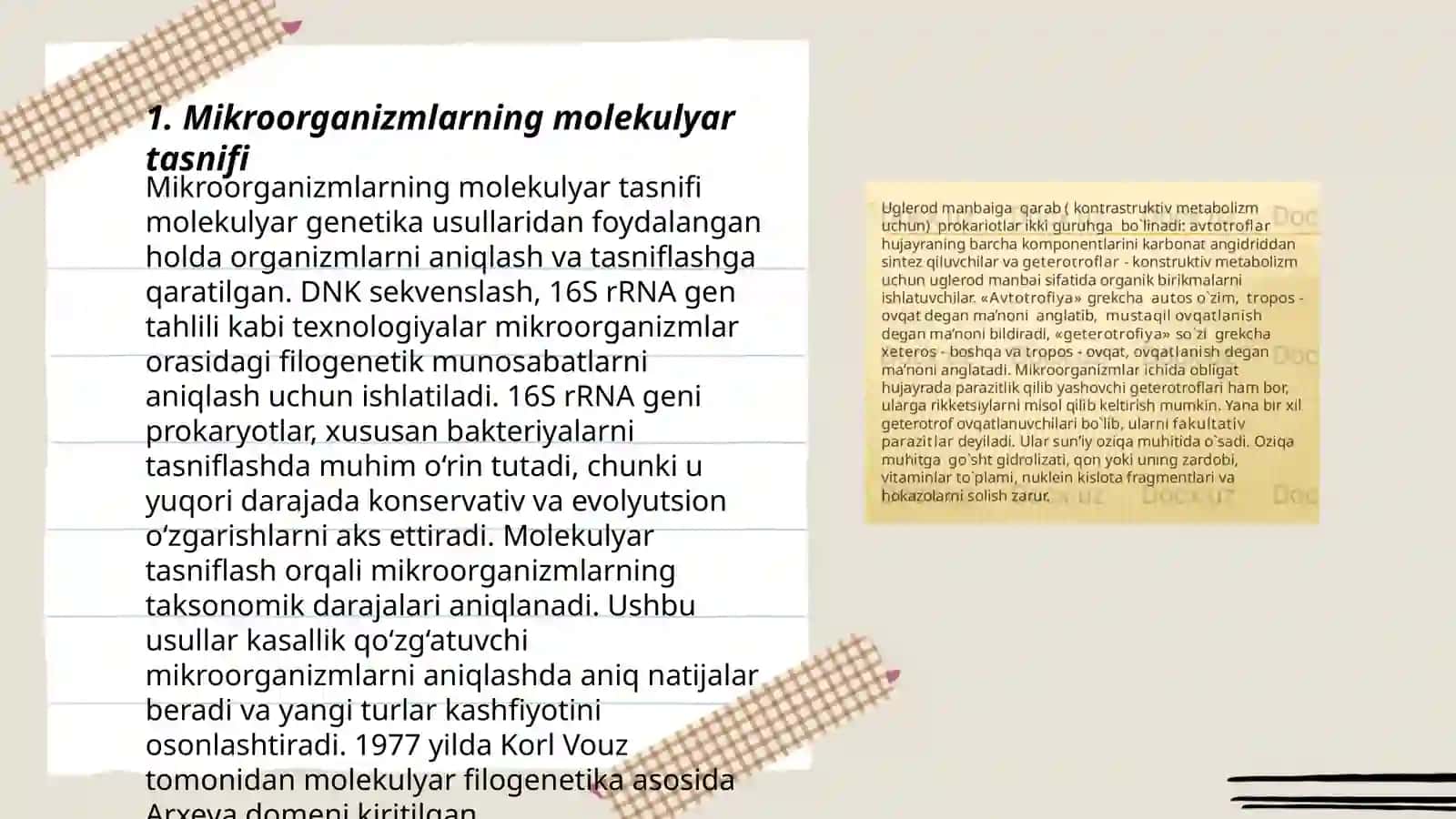 Mikroorganizmlarning zamonaviy sistematikasi 3