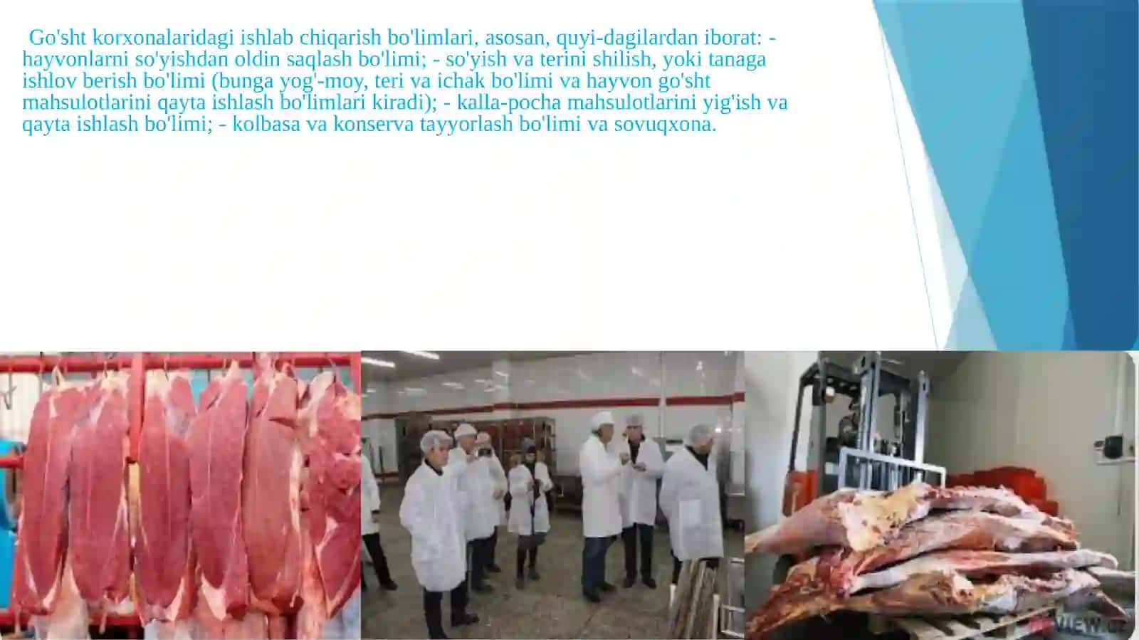 Go'sht va go'sht mahsulotlaridan o'tadigan kasalliklar hamda sifat kórsatkichlari. 3