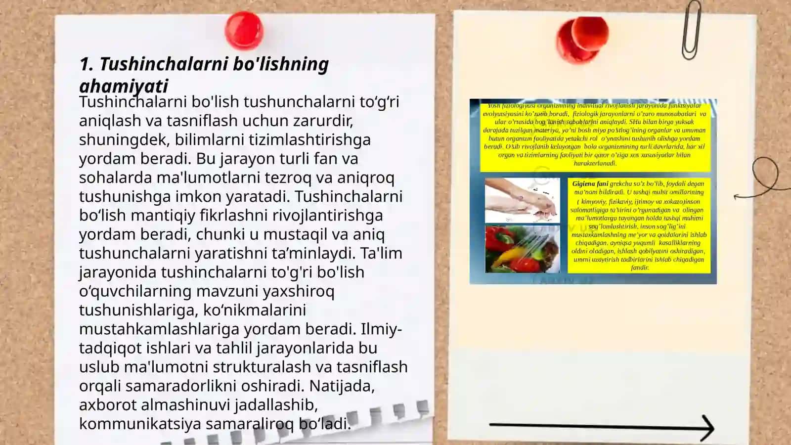 Tushinchalarni bo'lishning maqsadi va vazifasi 3