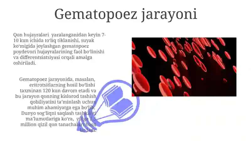 Qon hujayralari fiziologik reperativ regeneratsiya mexanizmlari 3