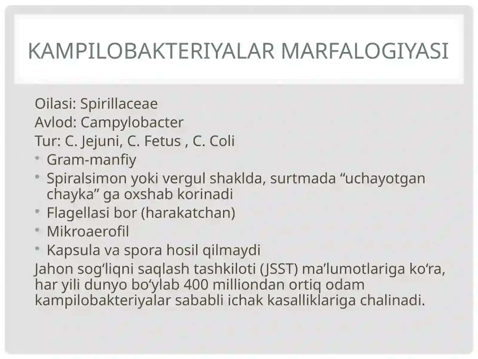 Kampilobakteriyalar, xelikobakteriyalar va ularning amaliyotdagi ahamiyati 3
