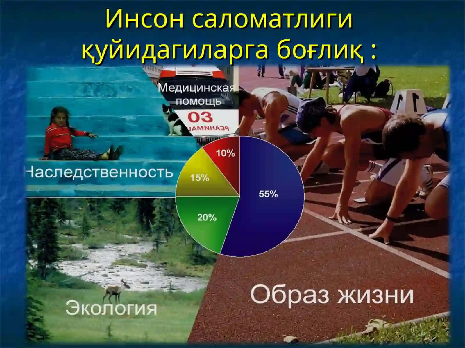 Замонавий экология ва унинг гигиеник аҳамияти 3