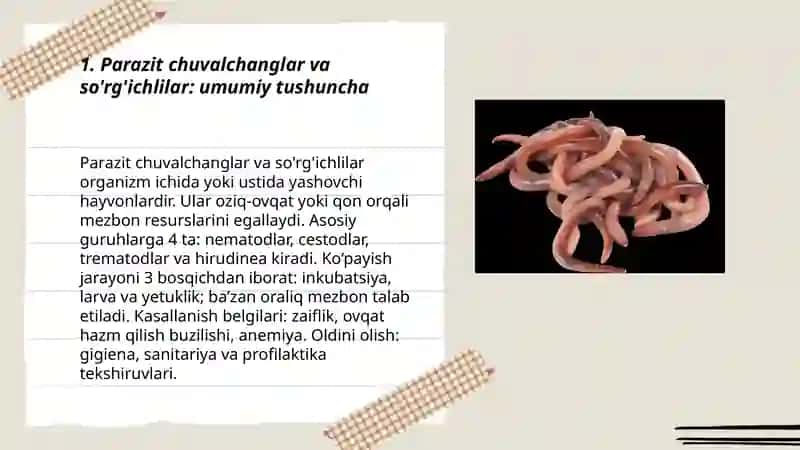 Parazit chuvalchanglar va so'rg'ichlilar 15 varoq 3