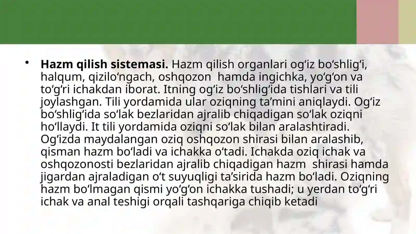 7-sinf Zoologiya 'Itning ichki tuzilishi' ko'rgazma 3