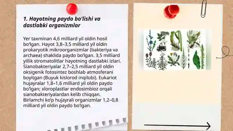 O’simliklar Evolyutsiyasi va Tirik Tabiatning Tarixiy Jarayonida Paydo Bo’lishi 3