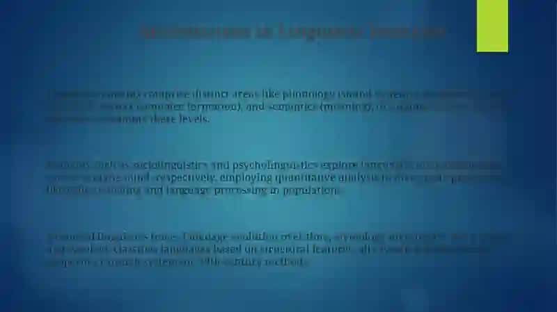 Language phenomena and their scientific terminology 3