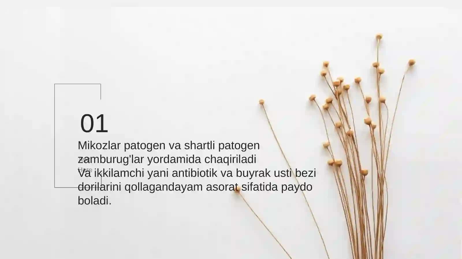 Zamburug'larga qarshi dori vositalari 3