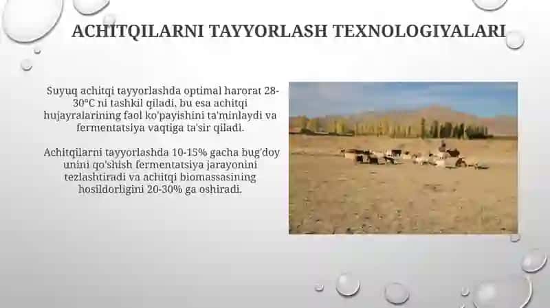 Ozuqa Achitqilaridan Foydalanish Samaradorligini Oshirish Usullari 3