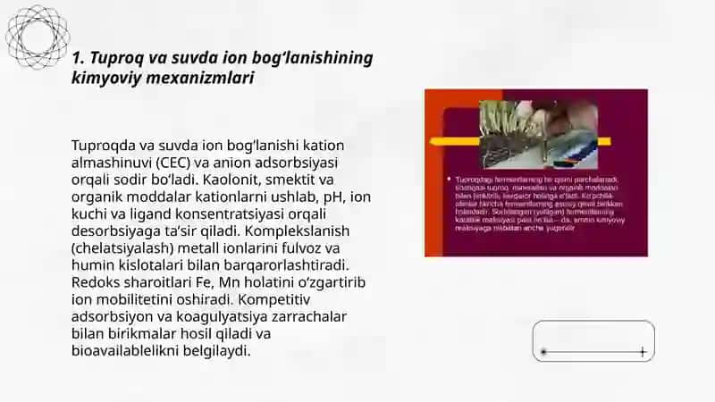 Tuproq va Suvning Ifloslanishida Ion Bog'lanishni Birikmalarni Aniqlovchi 3