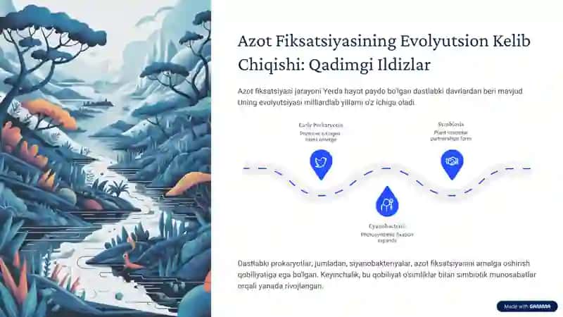 Azotni Oʻzlashtiruvchi Simbiotik Biotizimlar Evolyutsiyasi va Genetik Asoslari 3