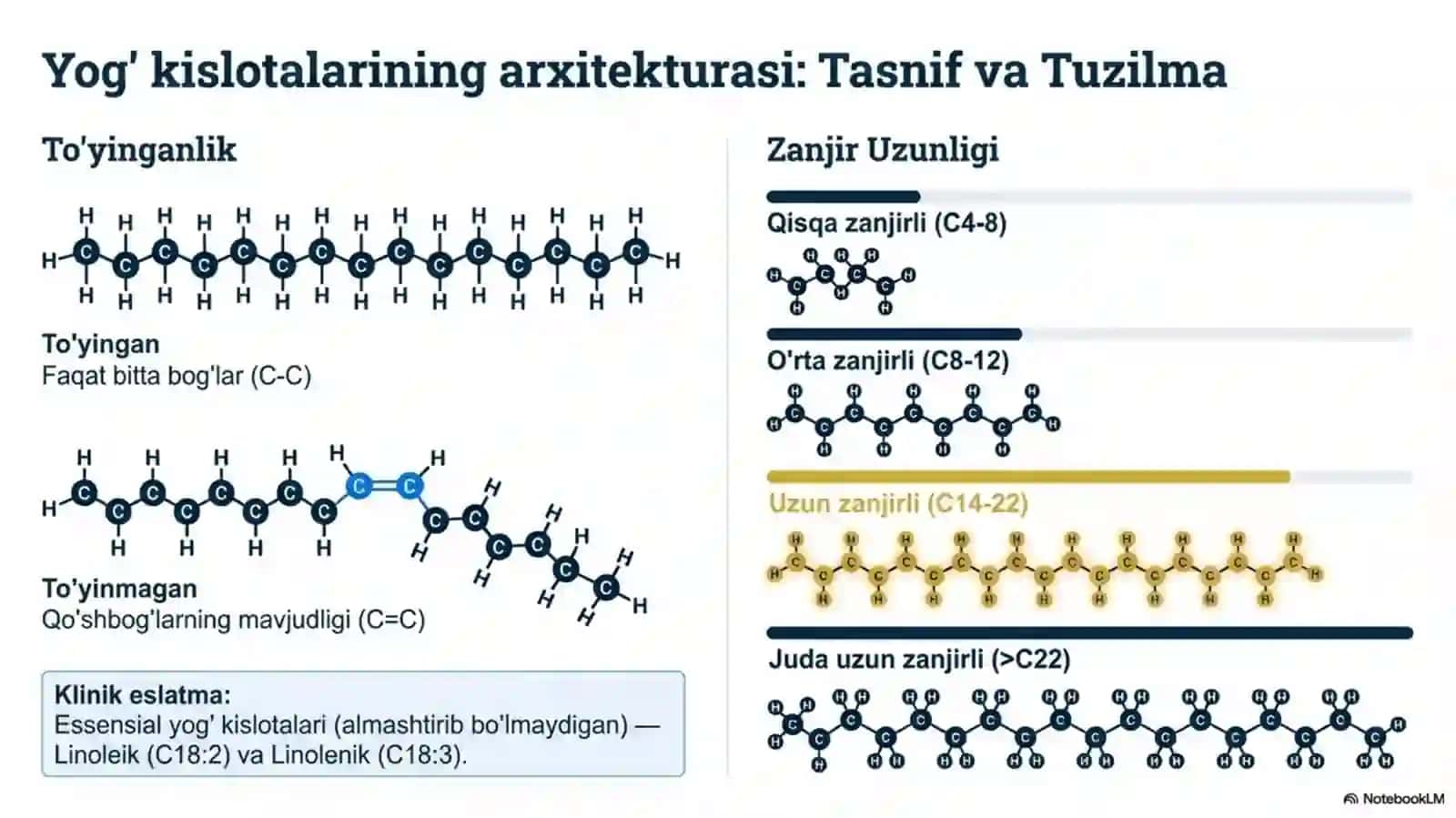 Yog‘ to‘qimasida triatsilgliserol zaxiralarining shakllanishi. 3