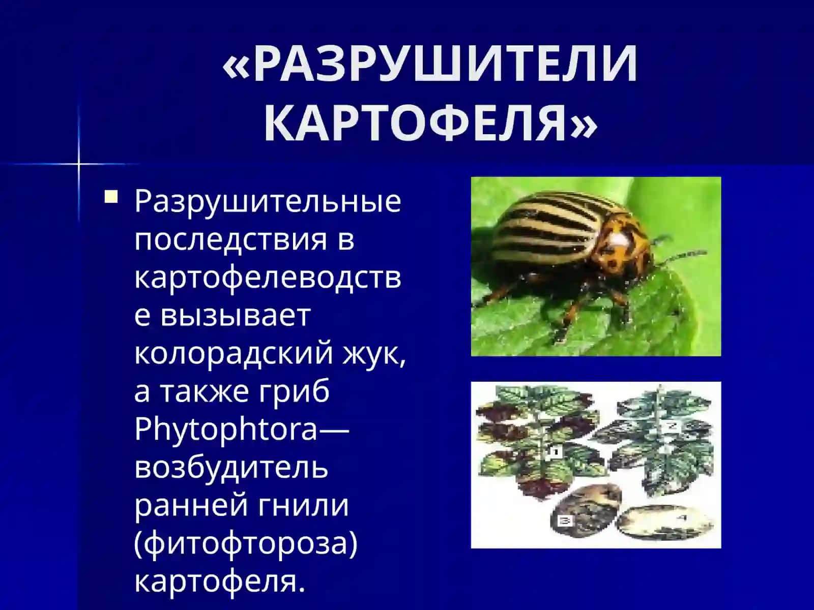 БИОТЕХНОЛОГИЯ И РАСТЕНИЕВОДСТВО 3