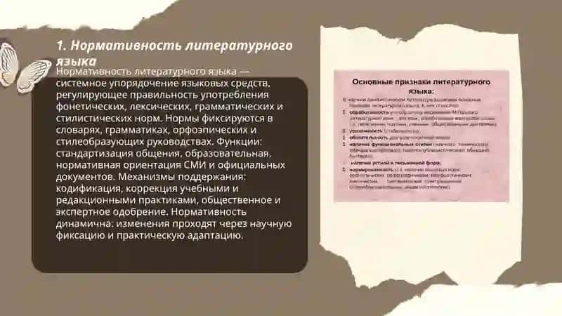 Признаки литературного языка 3
