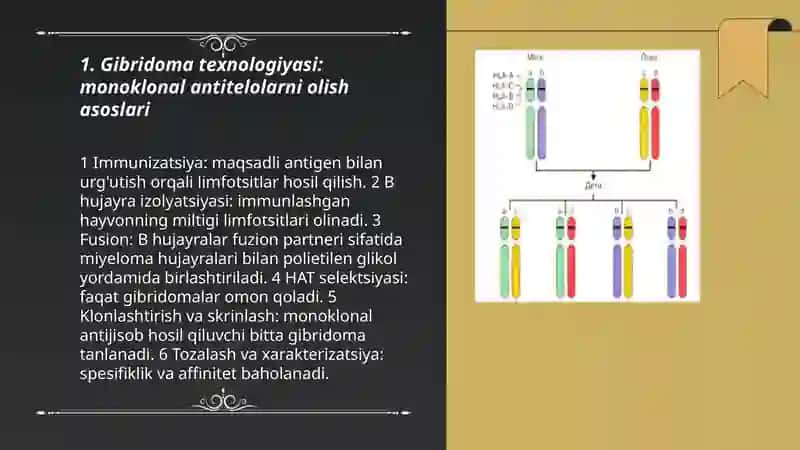 Gibridoma texnologiyasi: monoklonal antitelolarni olish asoslari 3