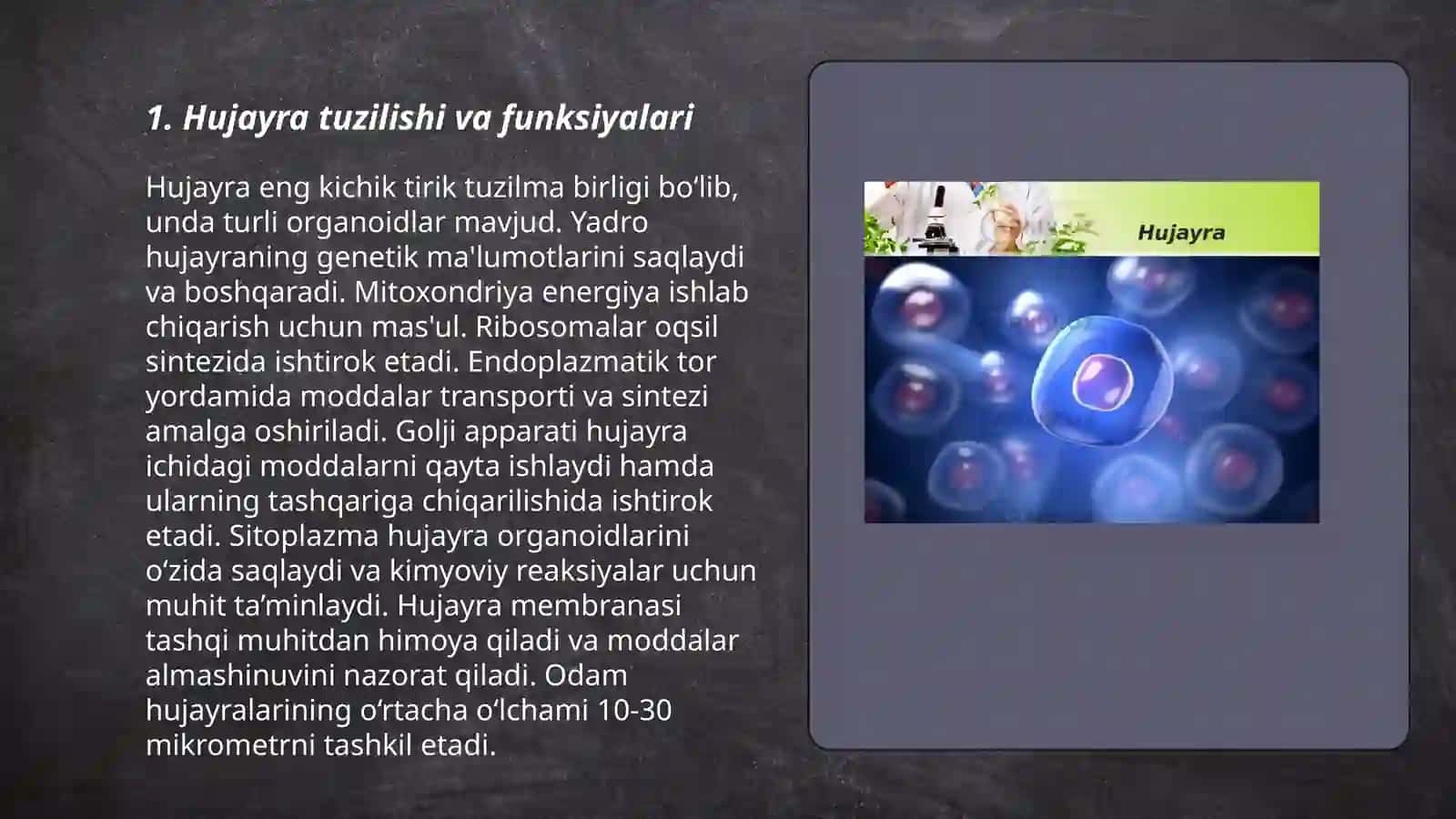 Umumbiologik qonuniyatlar 3
