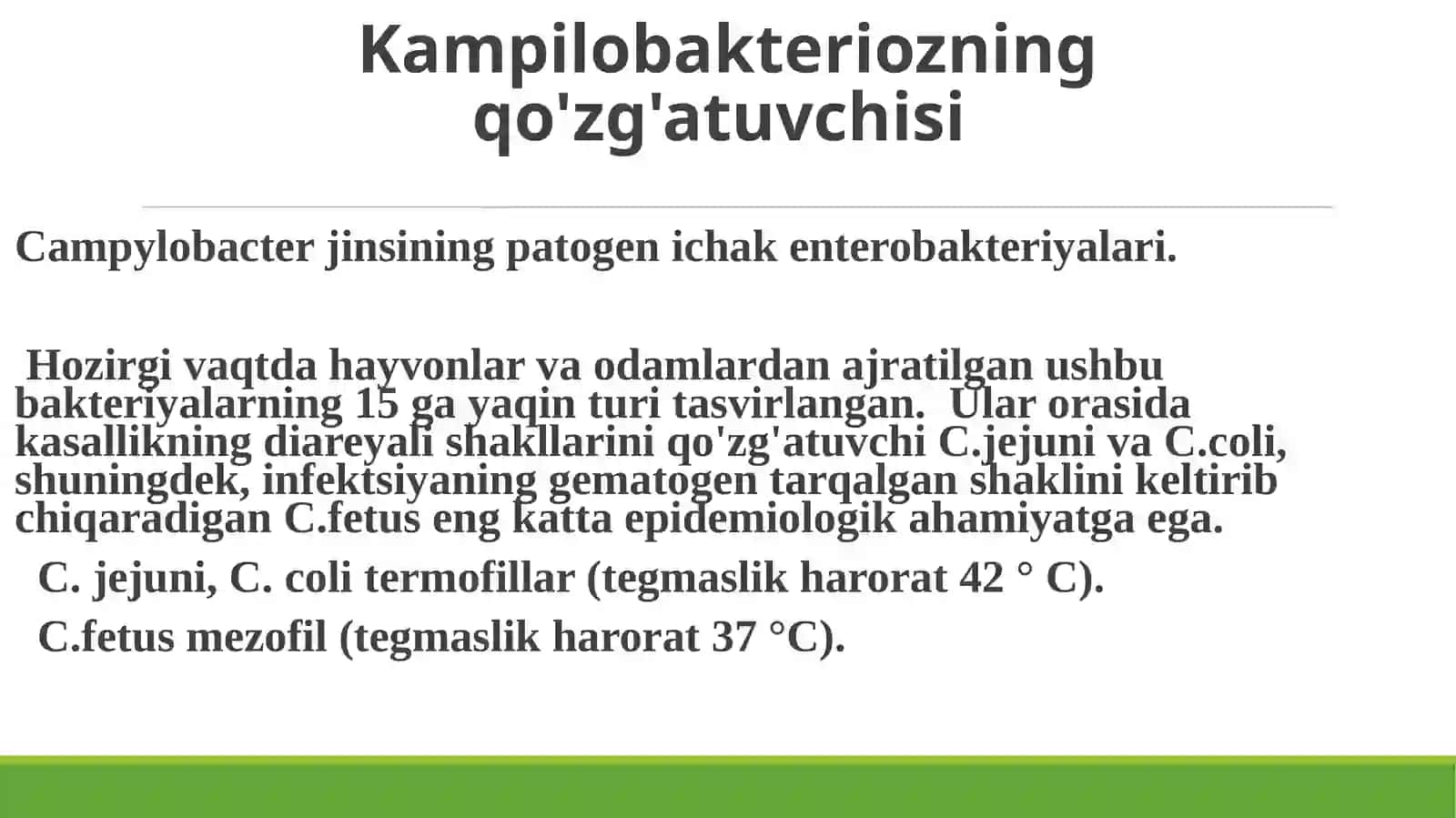 Kampilobakterioz 3