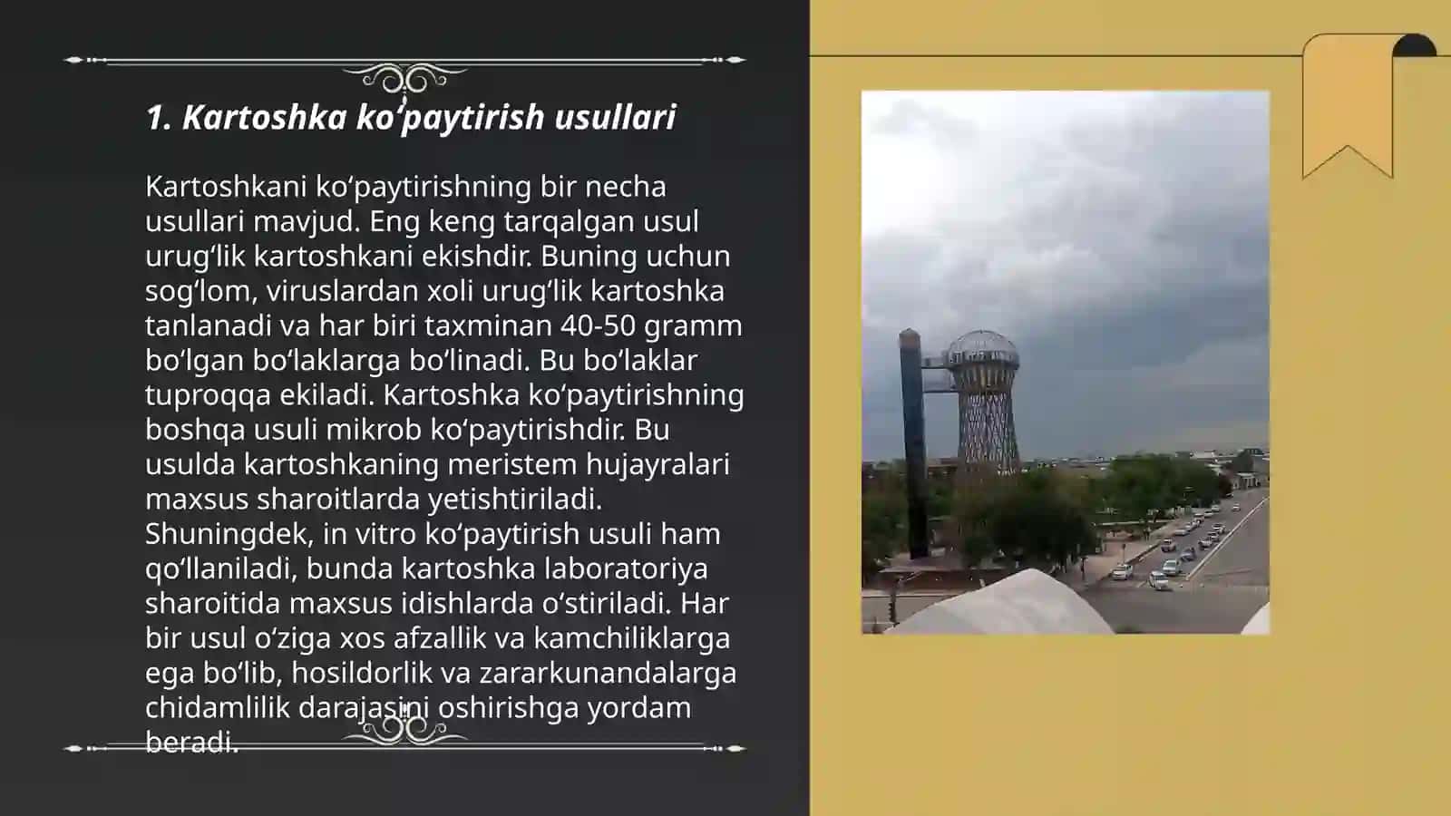 Kartoshkani koʻpaytirish, saqlash hosildorligi 3