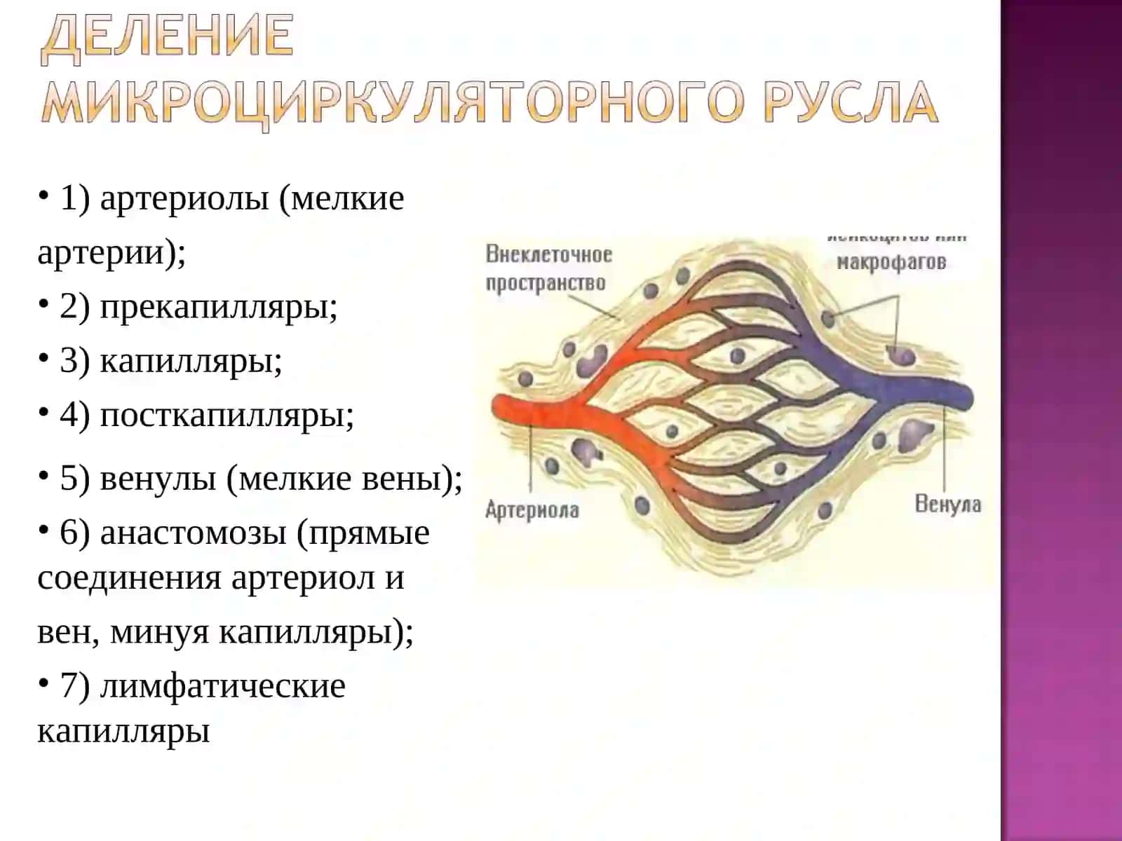 Кровенаполнения процесслари 3