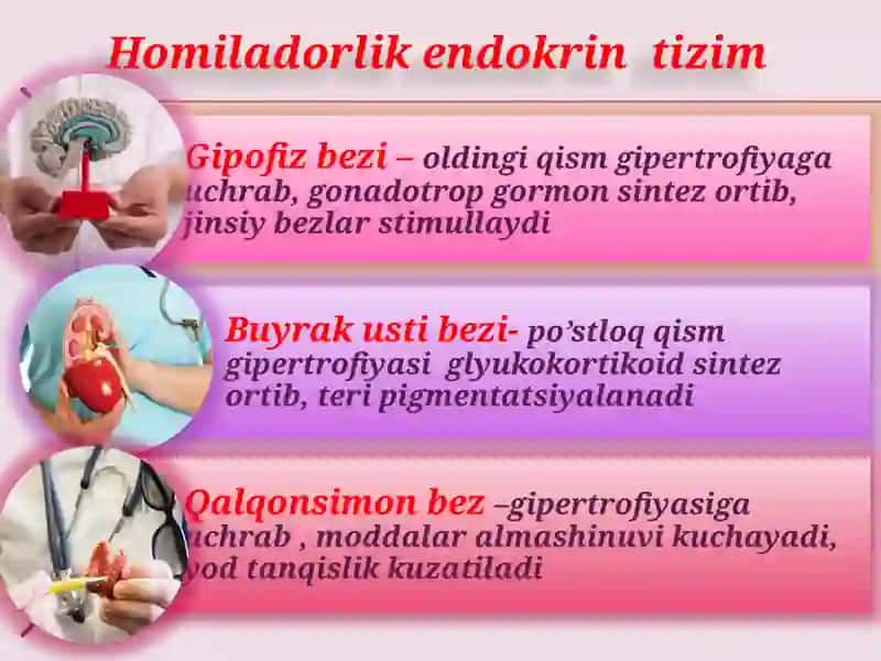 Homiladorlik fiziologik o'zgarishlar 3