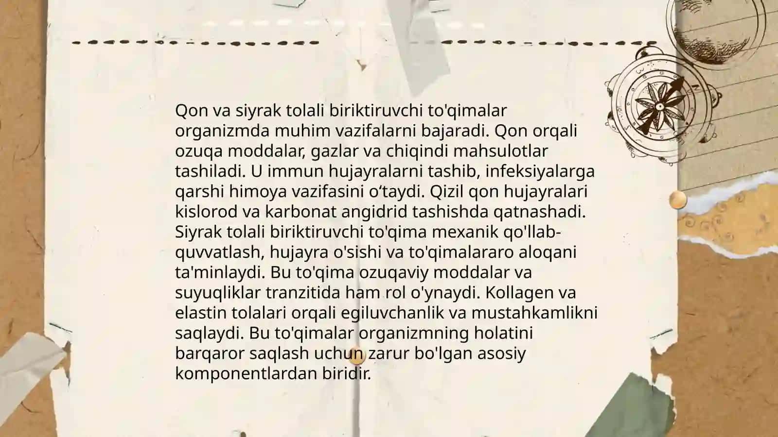 Qon va siyrak tolali biriktiruvchi to'qimalarning munosabati 3