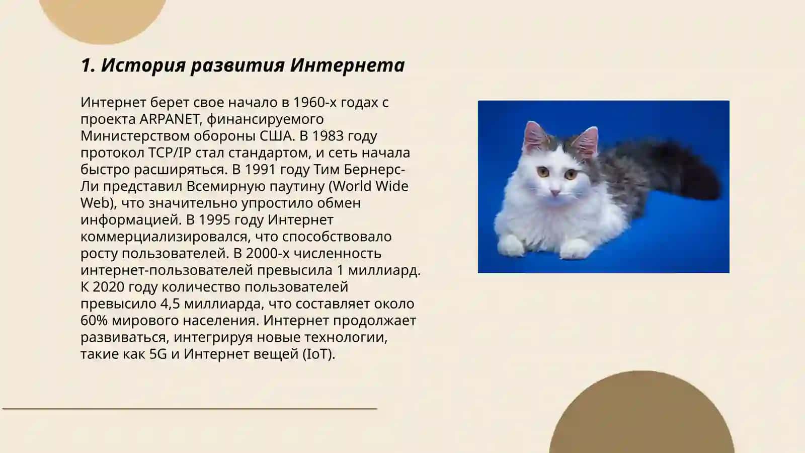Интернет. Средства массовой информации. Роль науки и техники в жизни общества 3