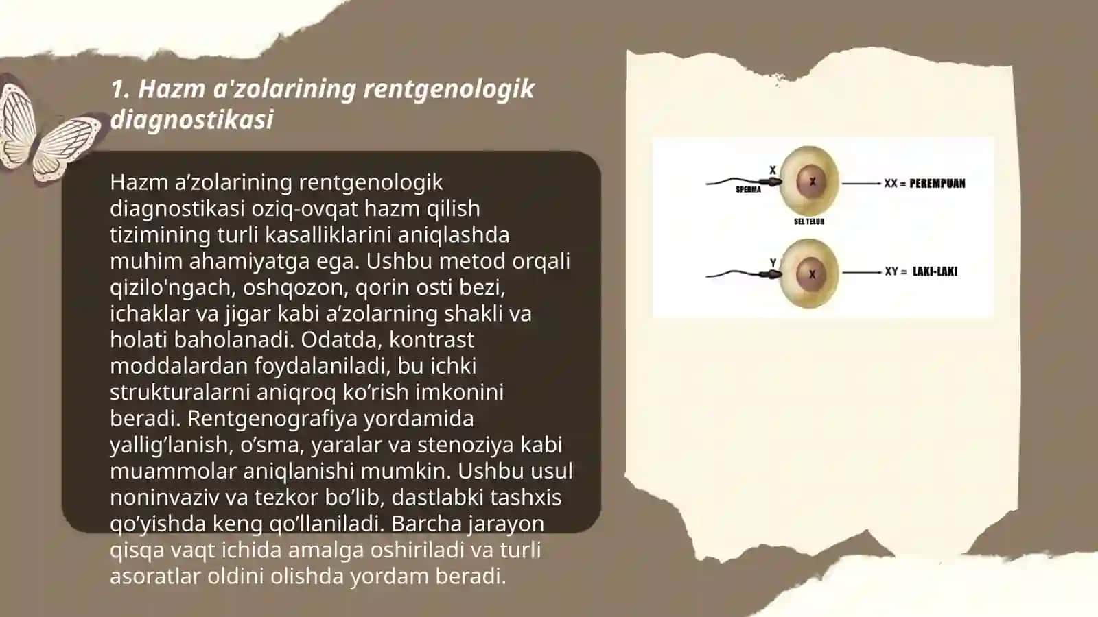 Hazm a'zolarining rentgenanatomiyasi va rivojlanish nuqsonlari 3