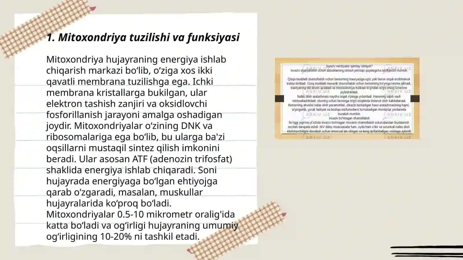 Mitoxondriya Tuzilishi va Funksiyasi 3