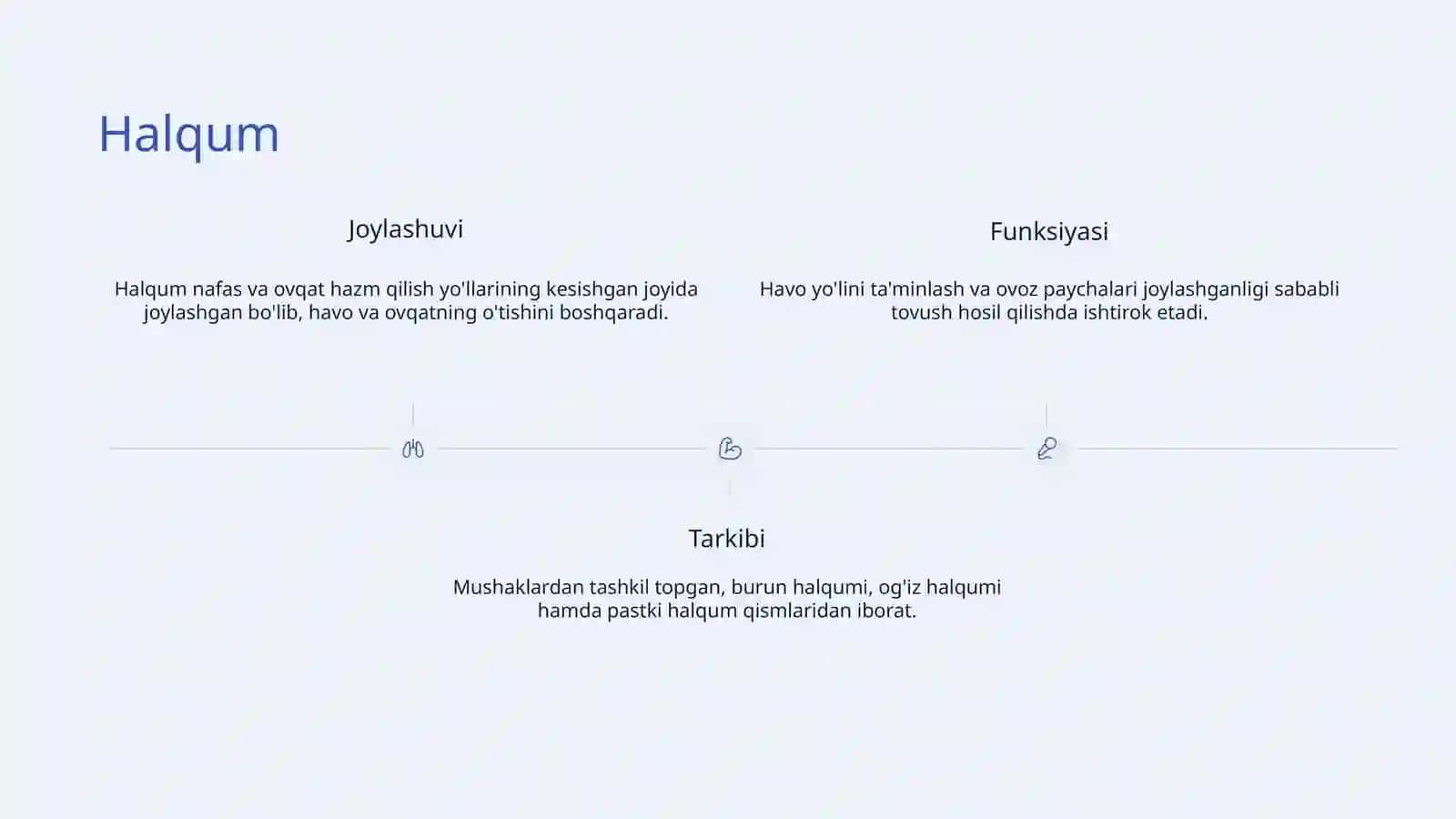 Nafas yoʻllari tuzilishi 3