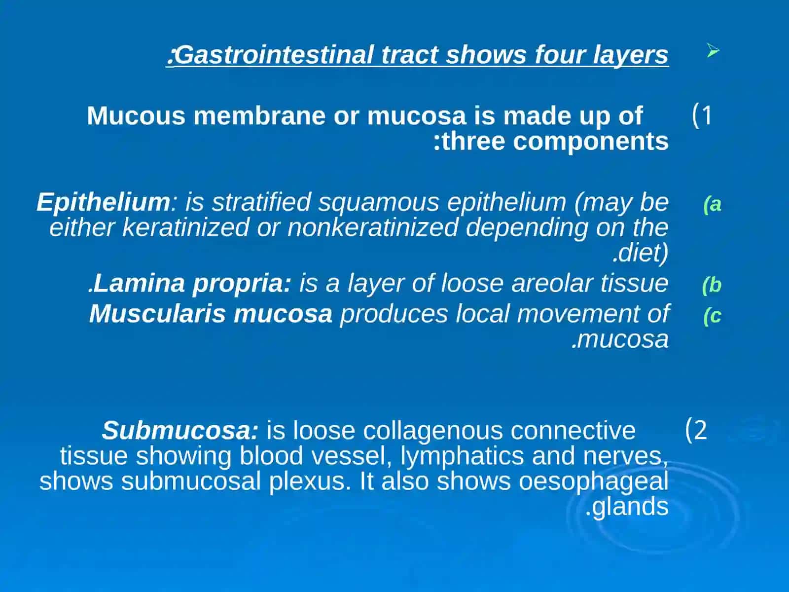 HISTOLOGY OF THE DIGESTIVE SYSTEM 3