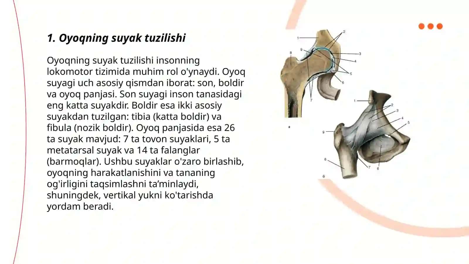 Oyoq suyaklarining birlashuvi 3