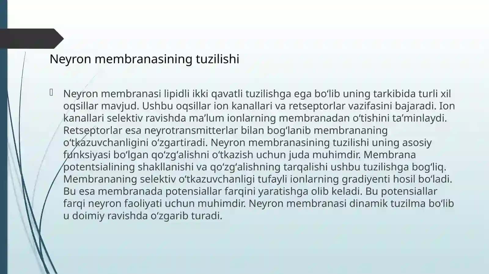 Neyronlarda_nerv_impulslarini_hosil_boʻlishi_mexanizmlari_Nerv_tolalari 3