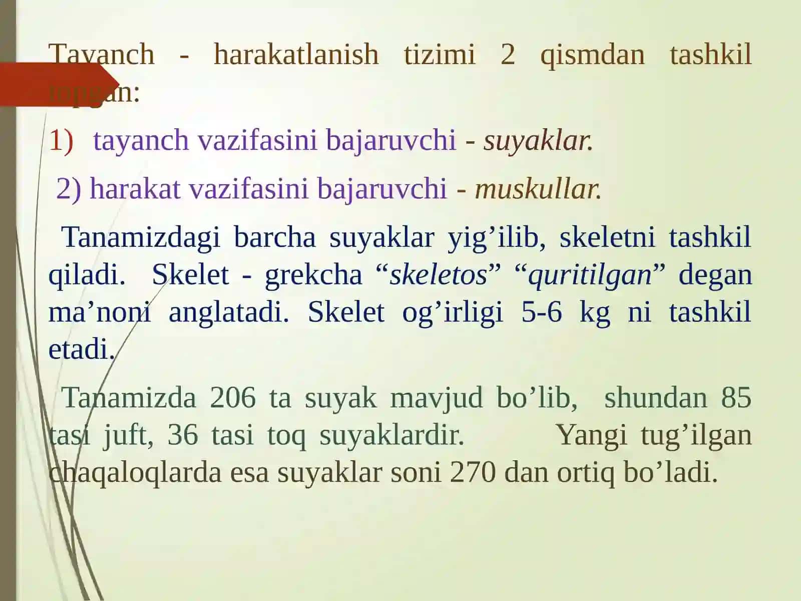 Tayanch-harakatlanishtizimi 3