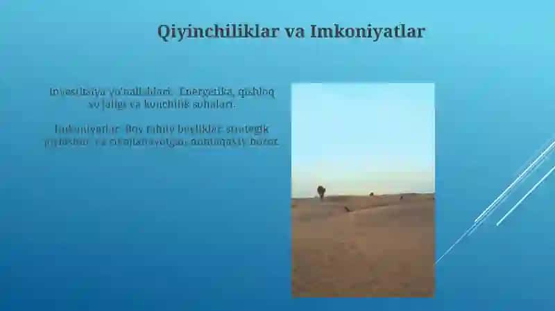 Sirdaryo viloyatida xorijiy investitsiyalar 3
