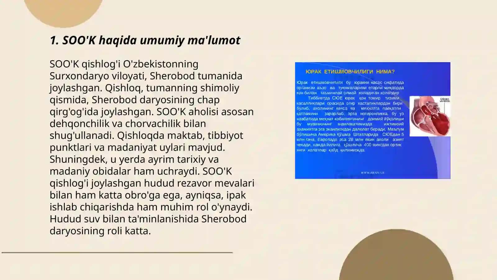 SOO'K (surunkali obstruktiv o'pka kasalliklari) va boshqa epidemiya bo'lmagan kasalliklarga chalingan bemorlarni dispanser kuzatuvi 3