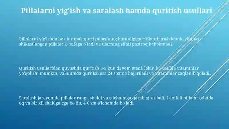 Ipak qurti tiximin tayyorlash usullari 3