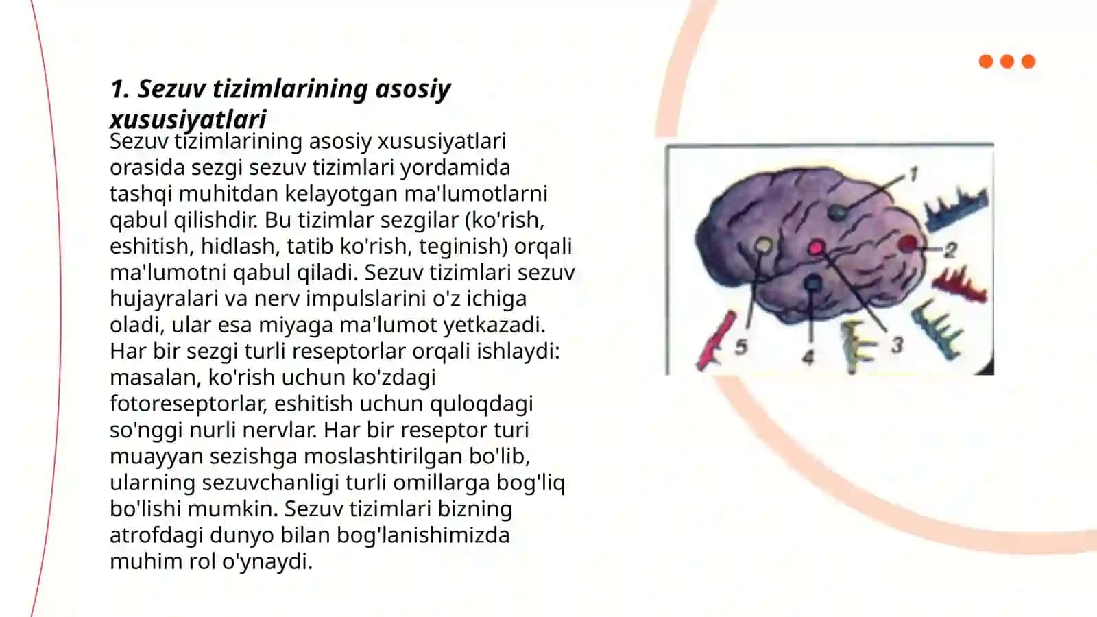 Sezuv va harakat o'tkazuv yullari va ishlash prinsipi, sxemalari 3