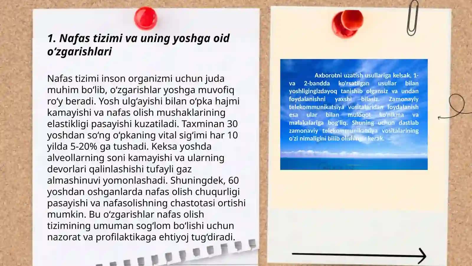 Nafas tizimining yoshga oid fiziologiyasi va gigiyenasi 3