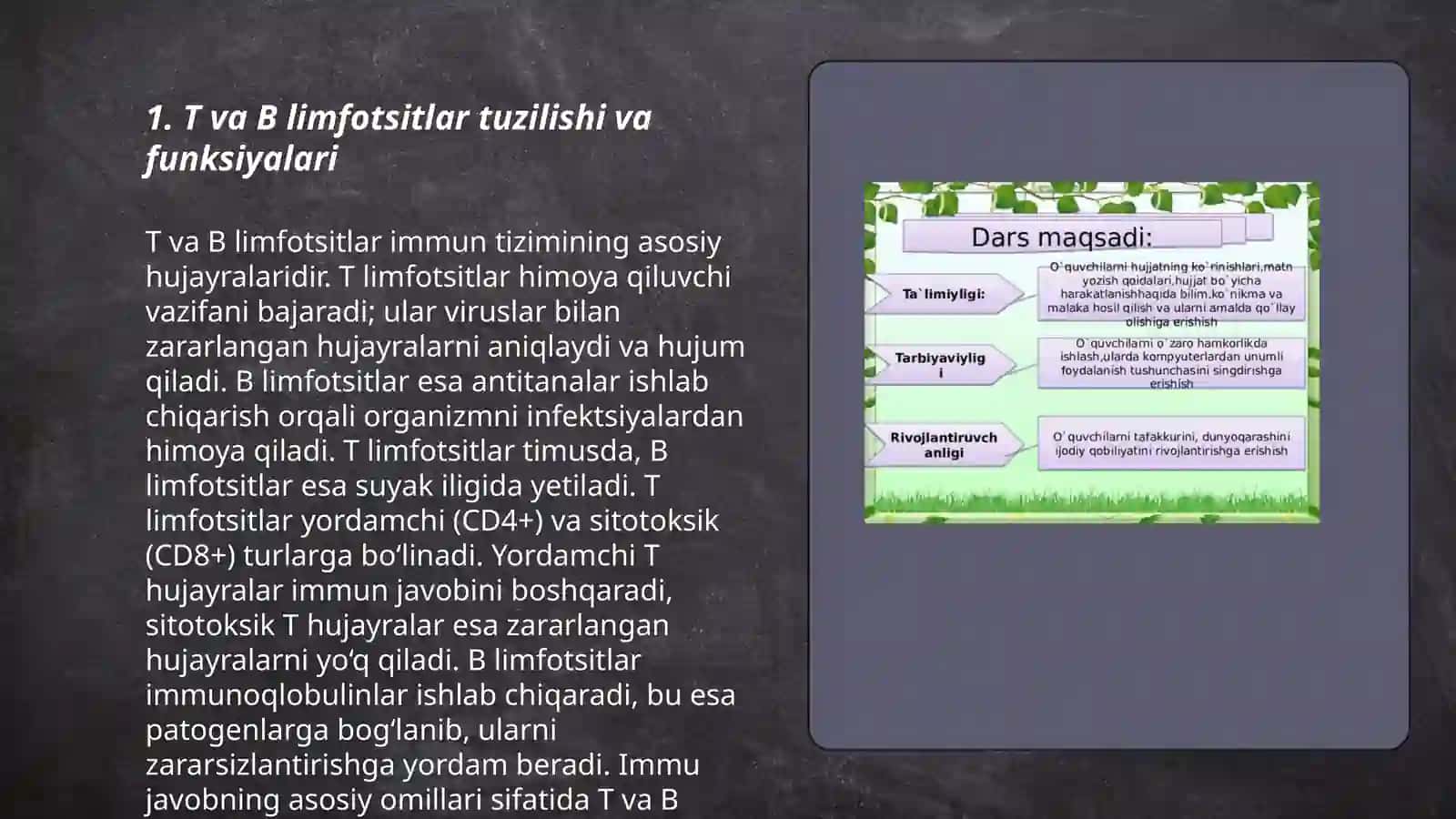 T va В limfotsitlar. Ularning subpopulyatsiyasi 3