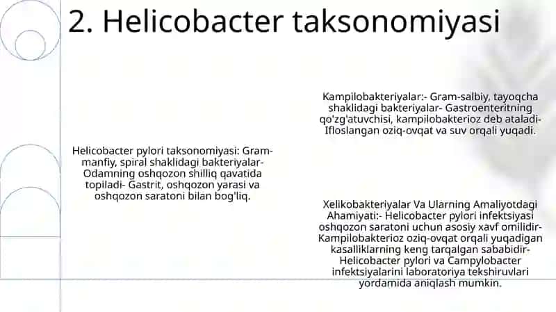 Kampilobakteriyalar Xelikobakteriyalar Va Ularning Amaliyotdagi Ahamiyati 3