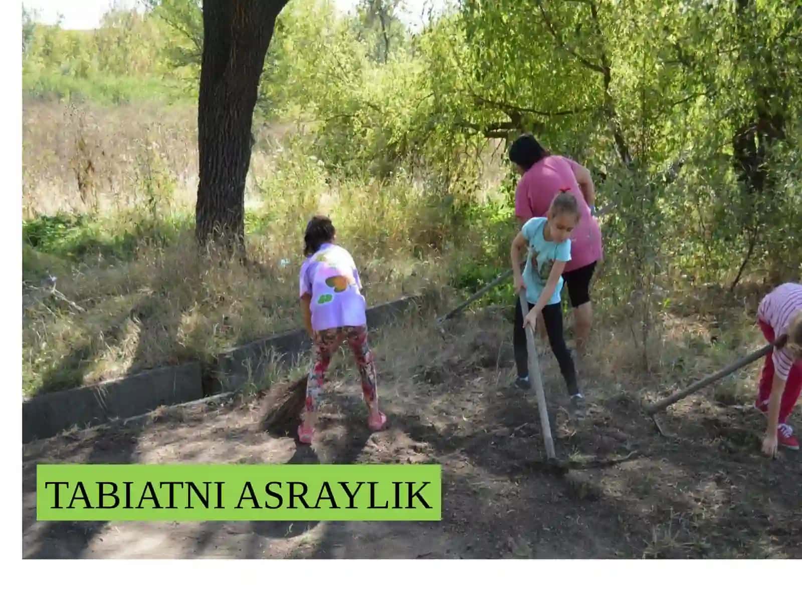 YASHIL SAYYORA TABIATNI ASRAYLIK 3