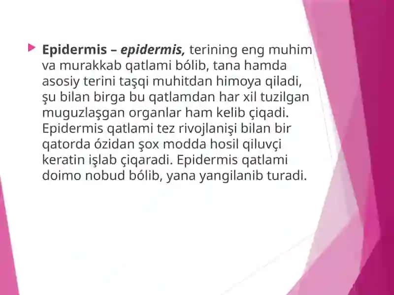 Terixosila organlari tuzilishi 3