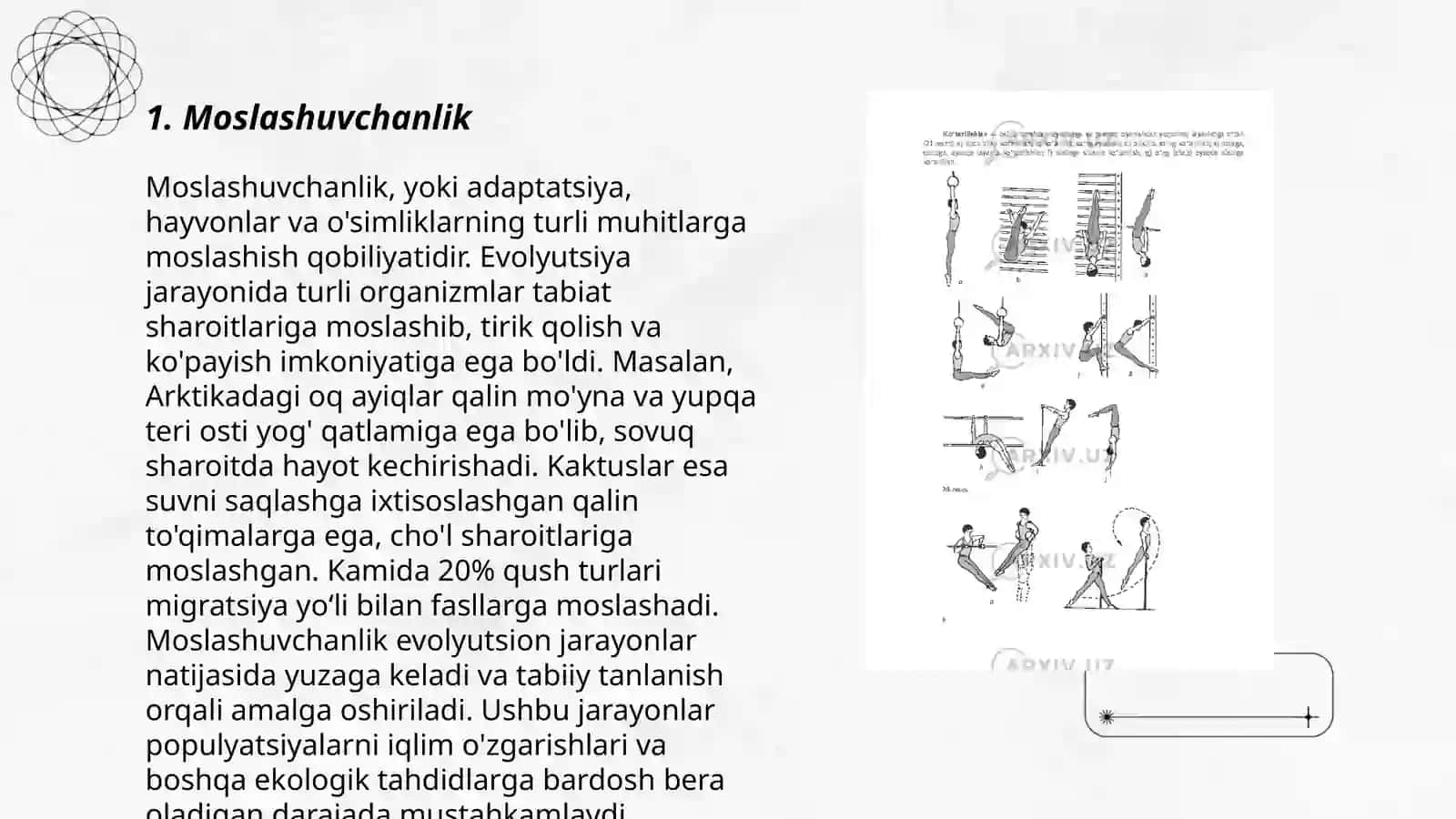 Gimnastikada rivojlanadigan jismoniy sifatlar 3
