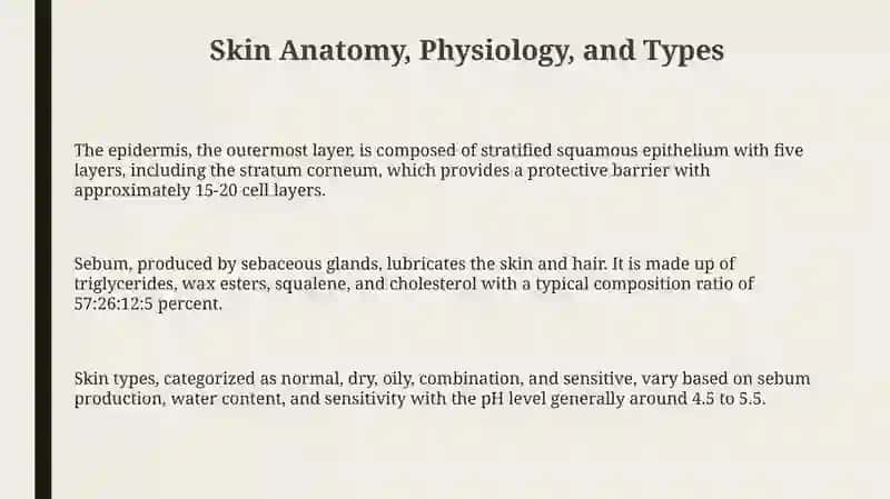 Understanding Skin: Anatomy, Function, and Types 3