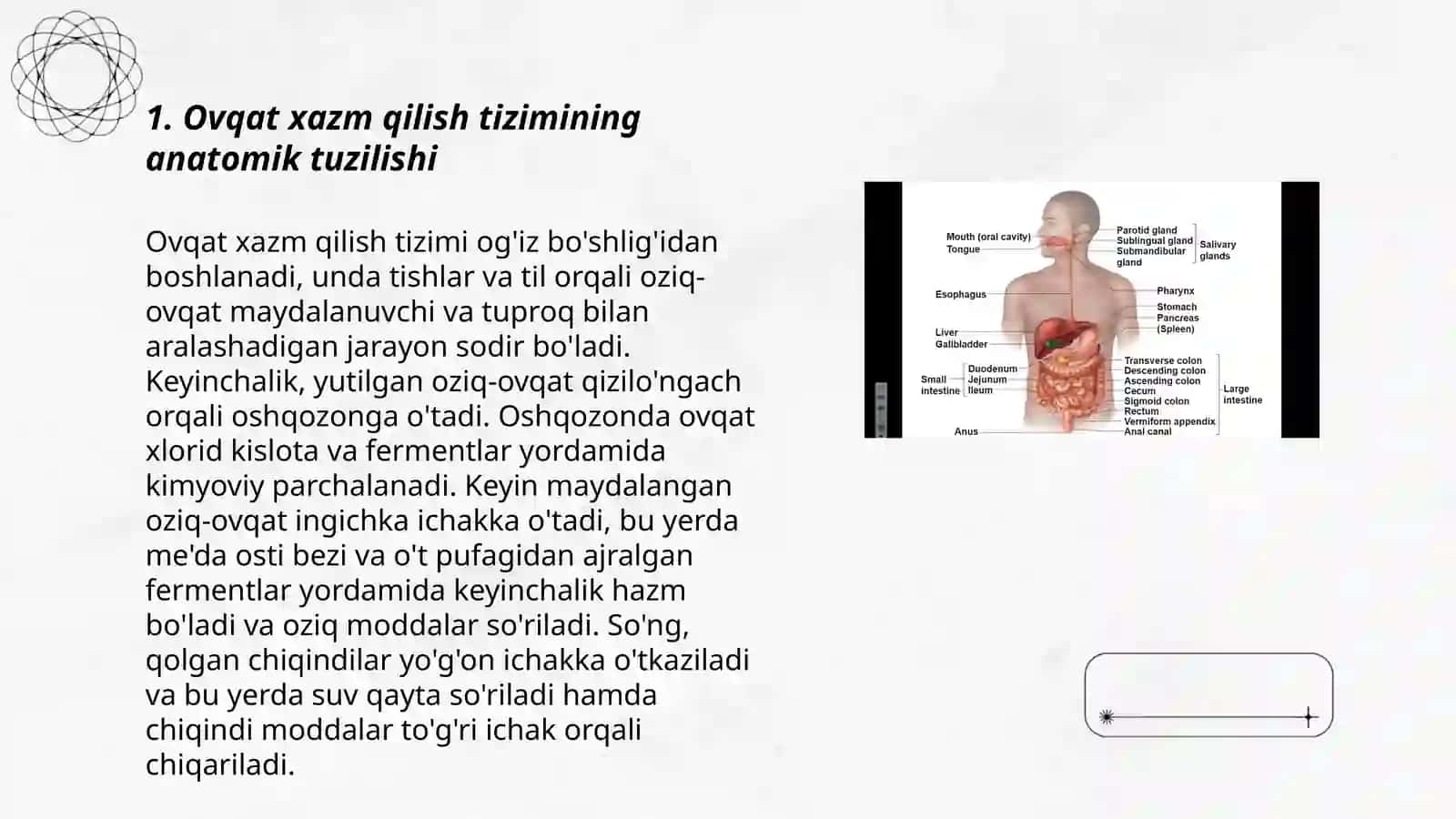 Ovqat xazm qilishda modda va energiya almashinuvi anatomiyasi va fiziologiyasi 3