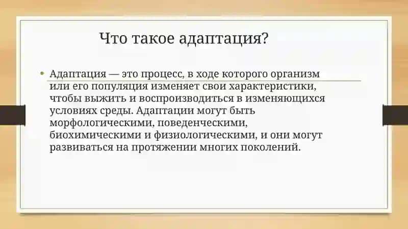 Типы адаптации организмов (Морфологические, физиологические, биохимические, поведенческие) 3
