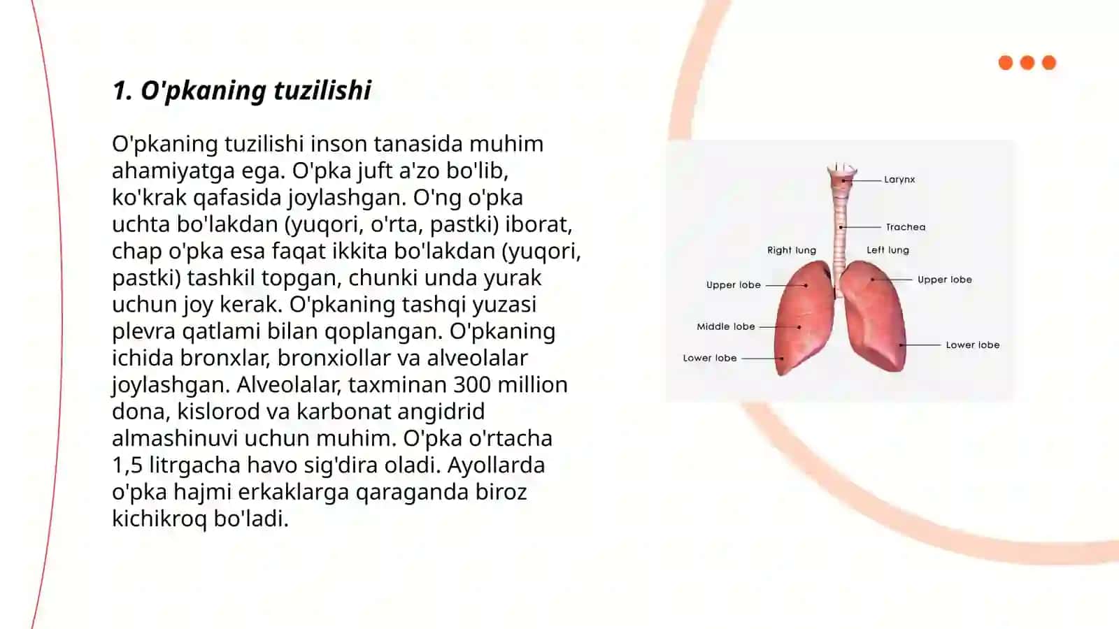 Organizmni nafas olish organlar sistemasining tuzilishi 3